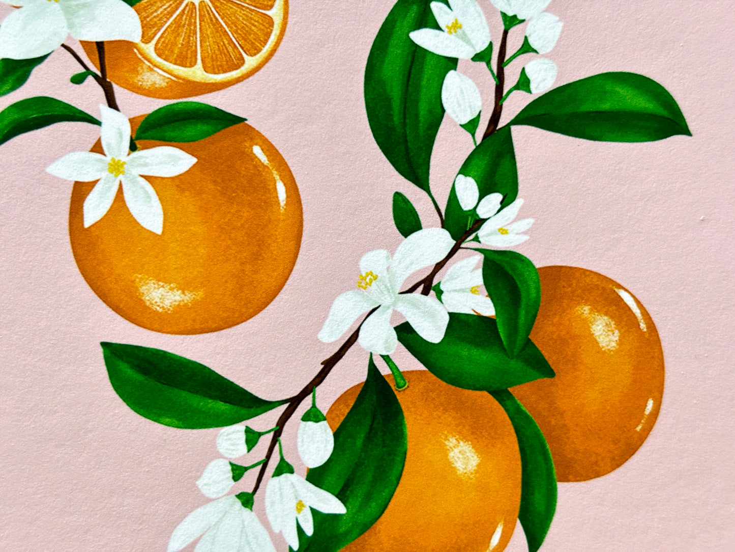 Seville Oranges Art Print